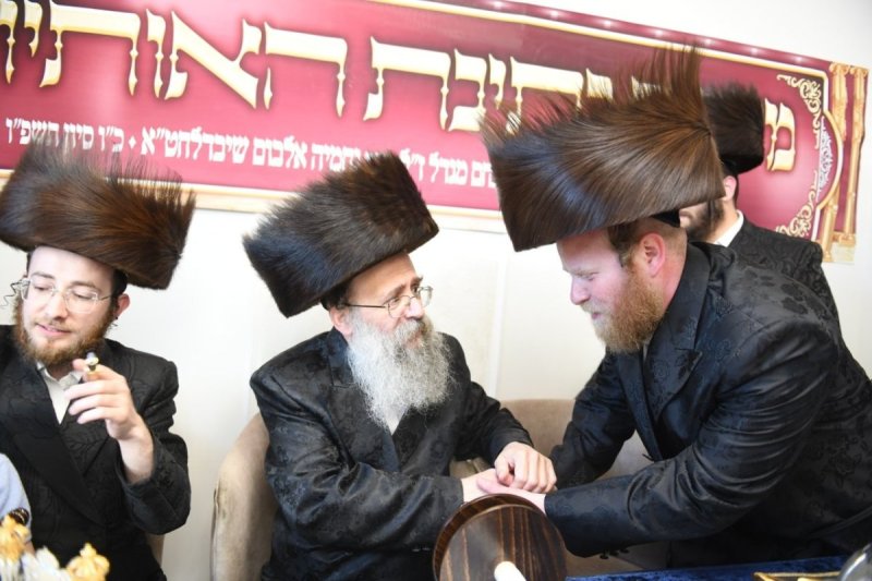 אנשיל בעק