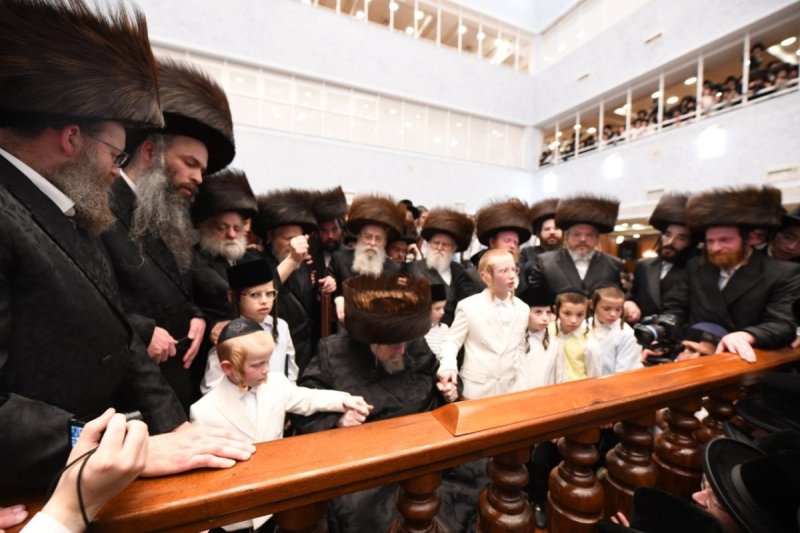 אנשיל בעק
