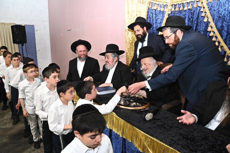 שוקי לרר