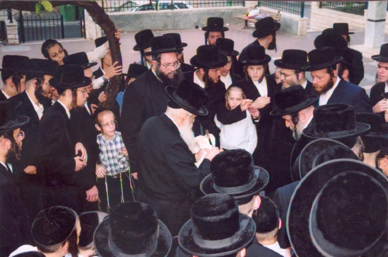 מהנעשה והנשמע ויז'ניץ