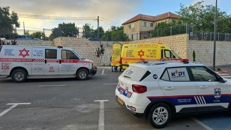 דוברות זק"א