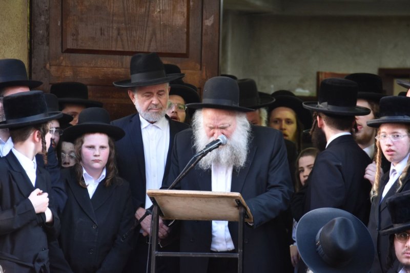 יהודה פרקוביץ