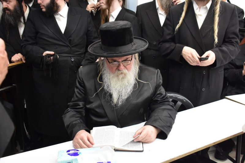 יהודה פרקוביץ