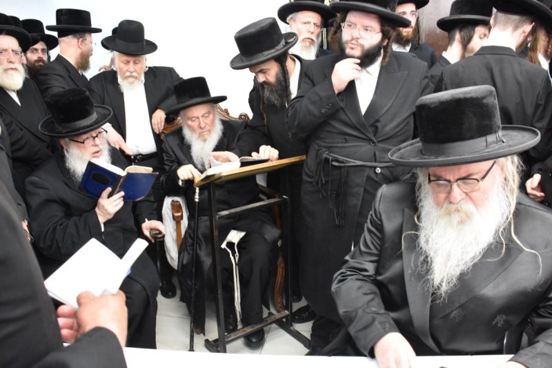 יהודה פרקוביץ