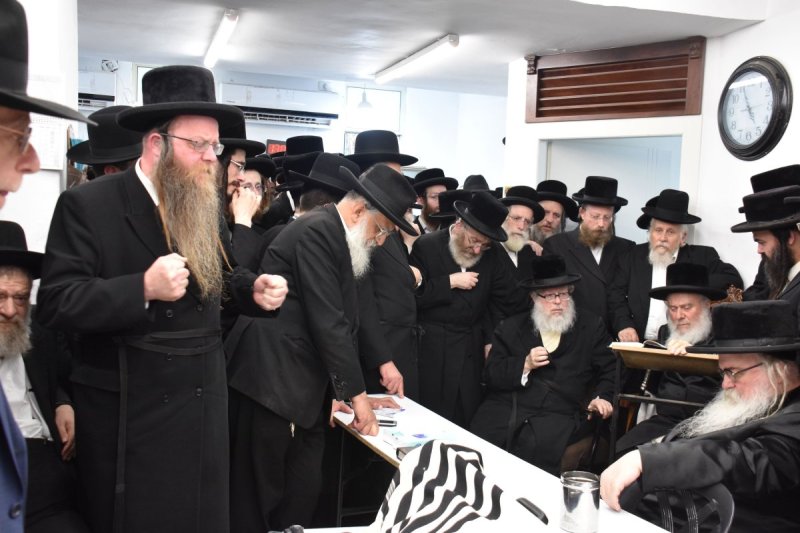 יהודה פרקוביץ