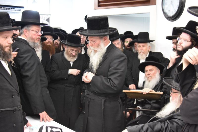 יהודה פרקוביץ