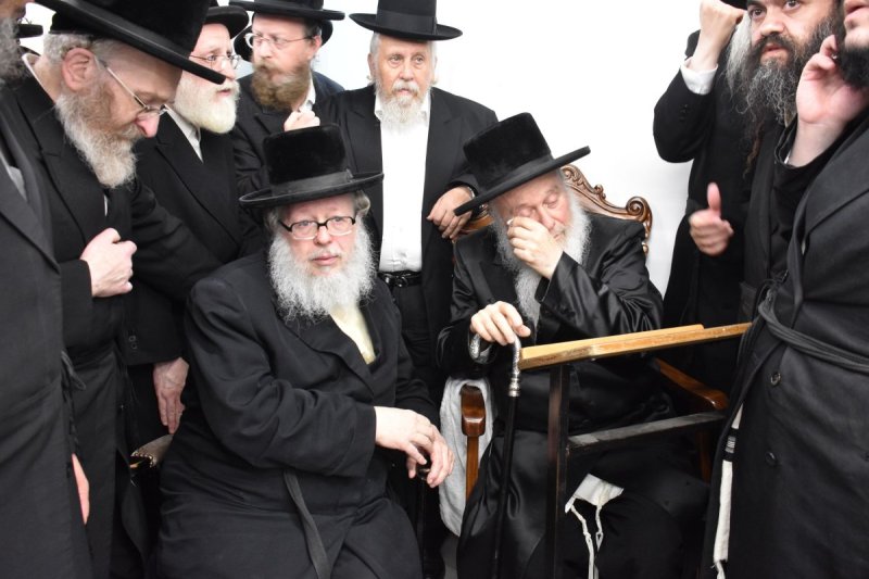 יהודה פרקוביץ
