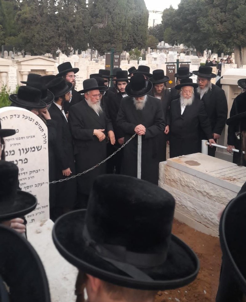 יהודה פרקוביץ