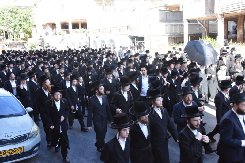 יהודה פרקוביץ