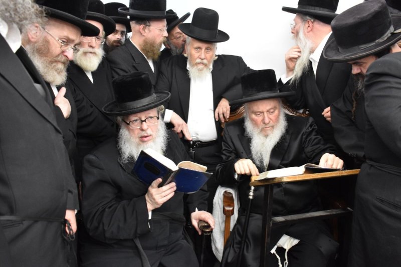 יהודה פרקוביץ