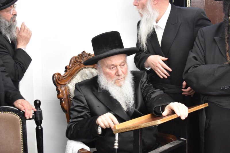 יהודה פרקוביץ