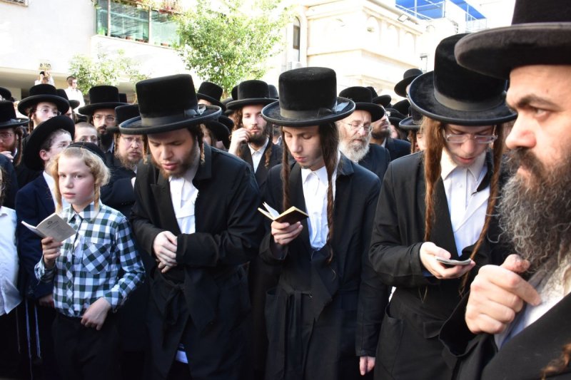 יהודה פרקוביץ