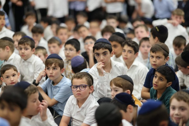 דניאל נפוסי ואלי קובין