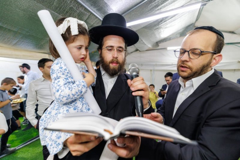 מאיר זלזניק