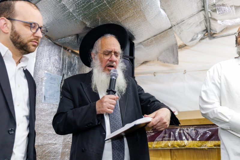 מאיר זלזניק