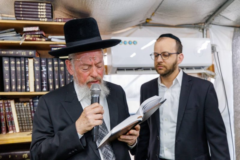 מאיר זלזניק