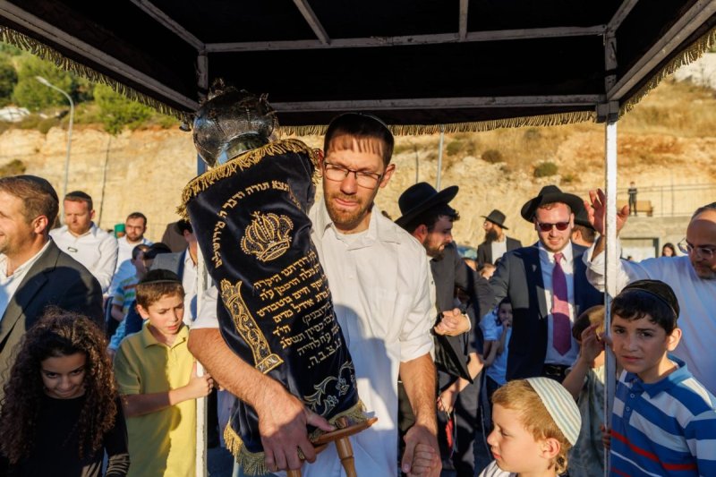 מאיר זלזניק