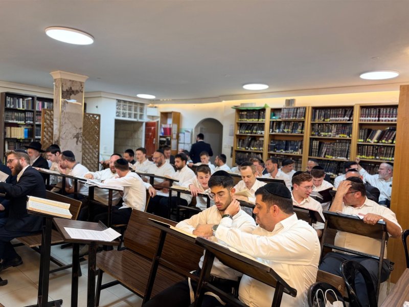באדיבות המצלם