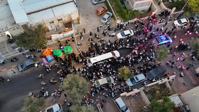 משה גולד