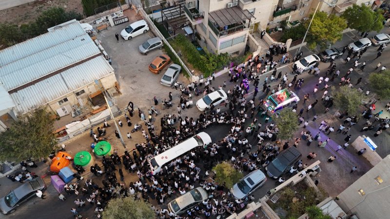 משה גולד