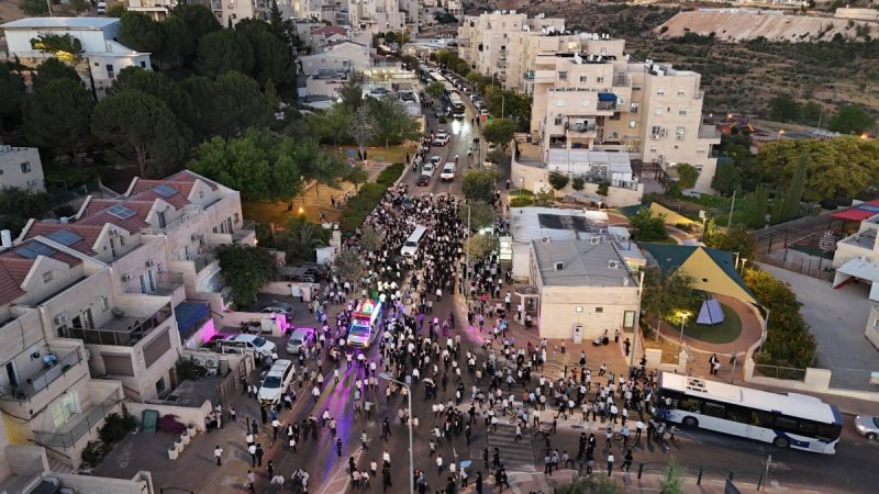 משה גולד