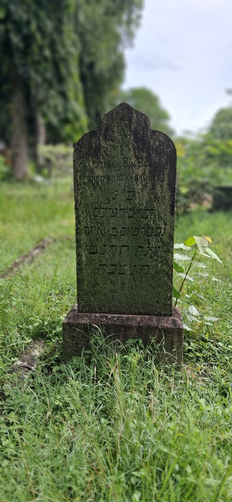 יוסף יצחק בכר
