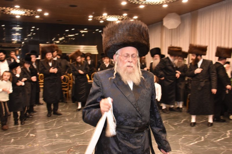 יהודה פרקוביץ
