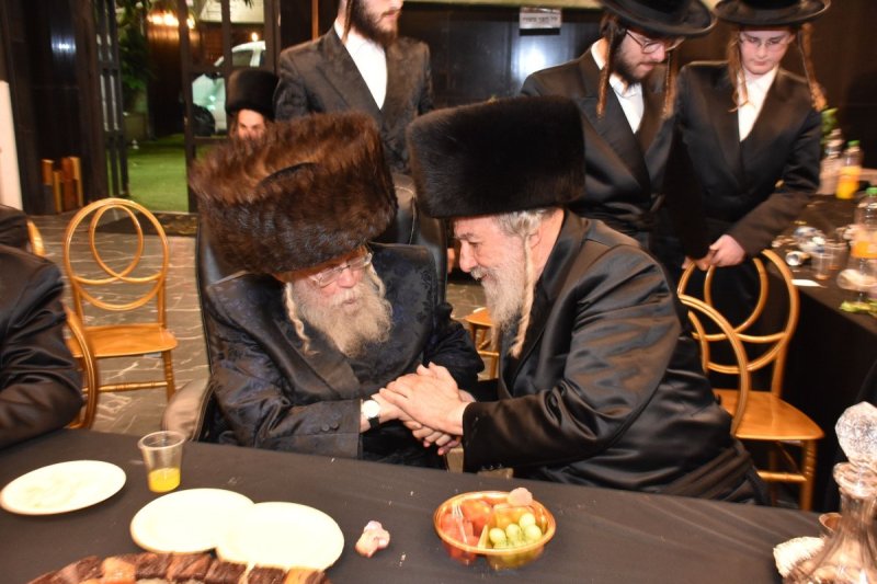 יהודה פרקוביץ