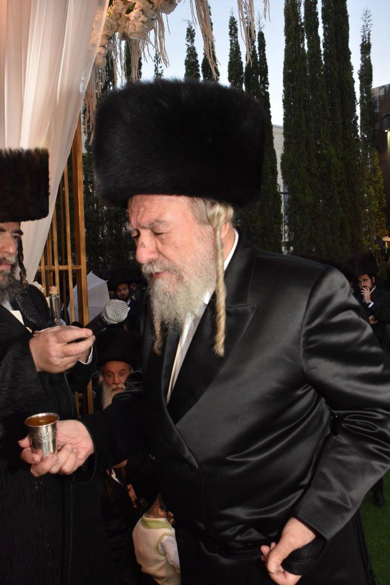 יהודה פרקוביץ