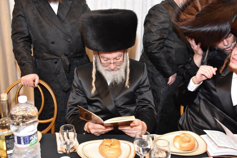 יהודה פרקוביץ