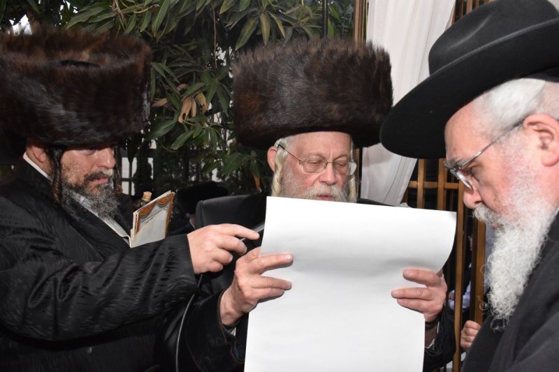 יהודה פרקוביץ