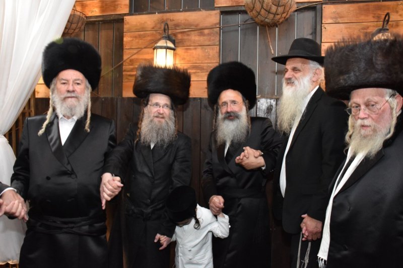 יהודה פרקוביץ