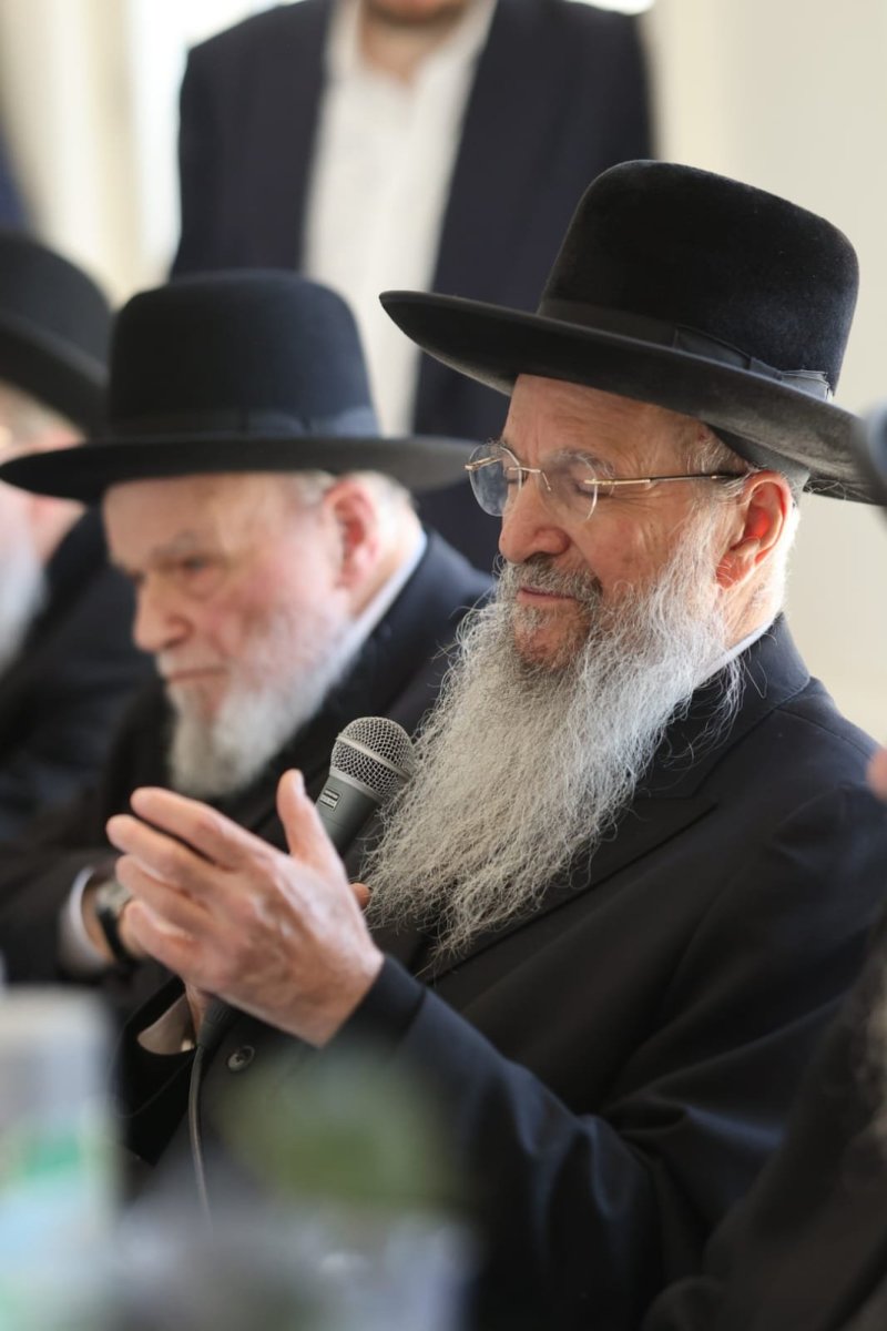 אלי קובין ומאיר זלזניק