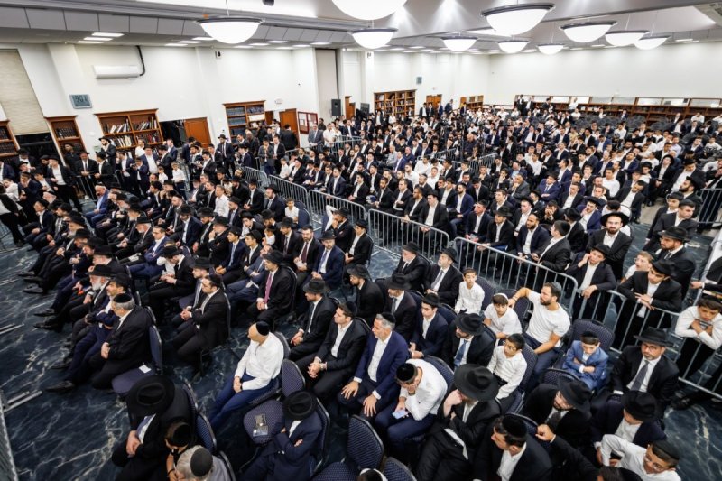 אלי קובין ומאיר זלזניק