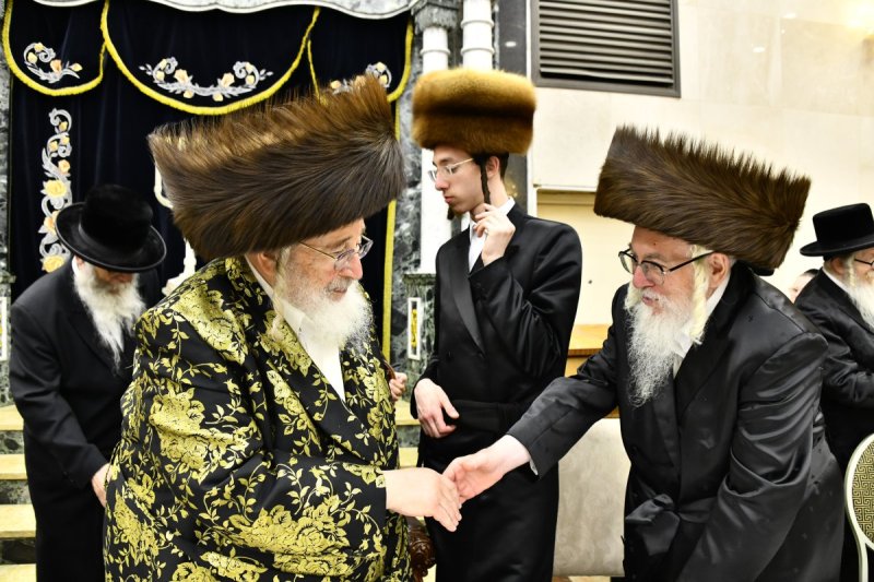 שוקי לרר