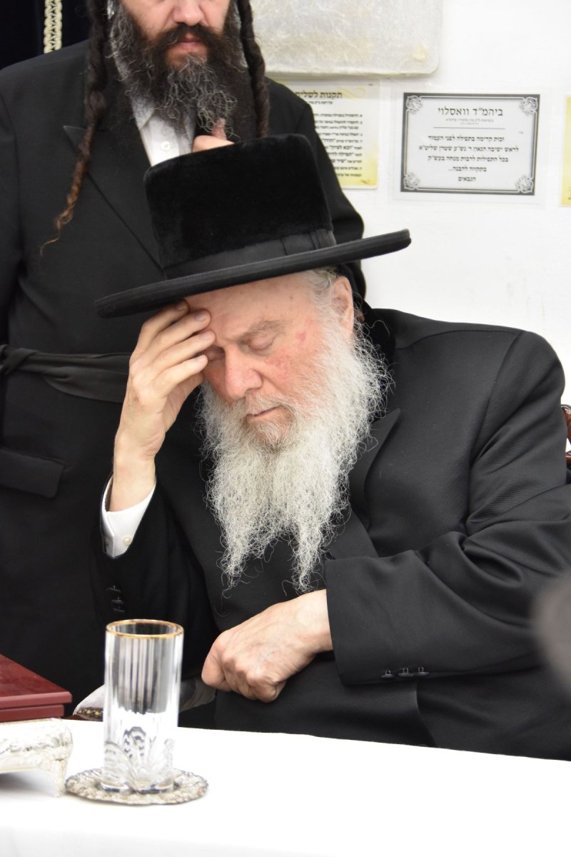 יהודה פרקוביץ
