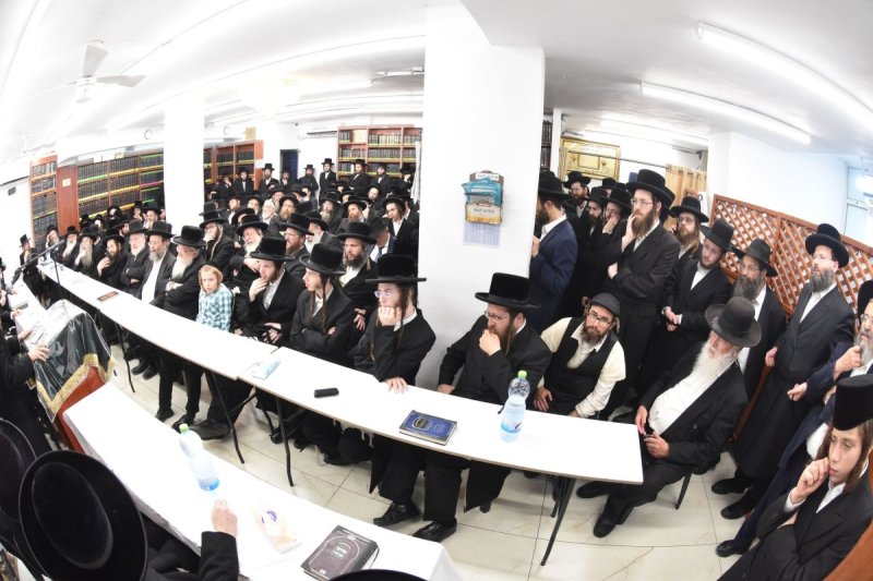 יהודה פרקוביץ