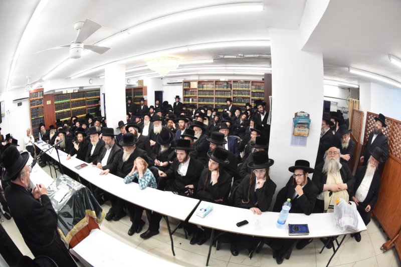 יהודה פרקוביץ