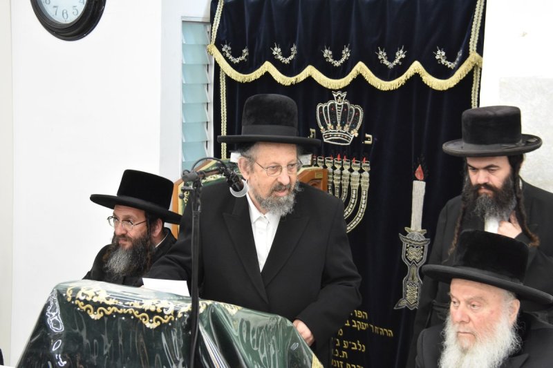 יהודה פרקוביץ