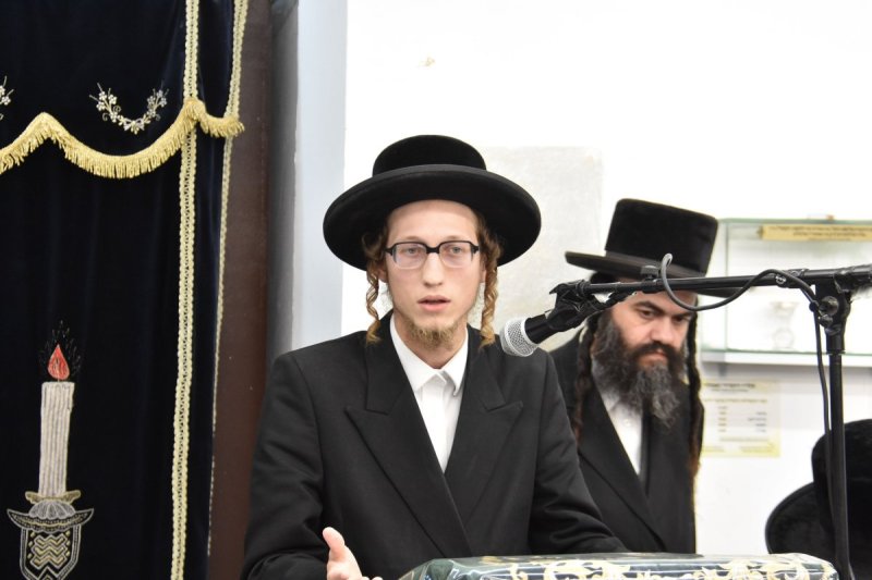 יהודה פרקוביץ
