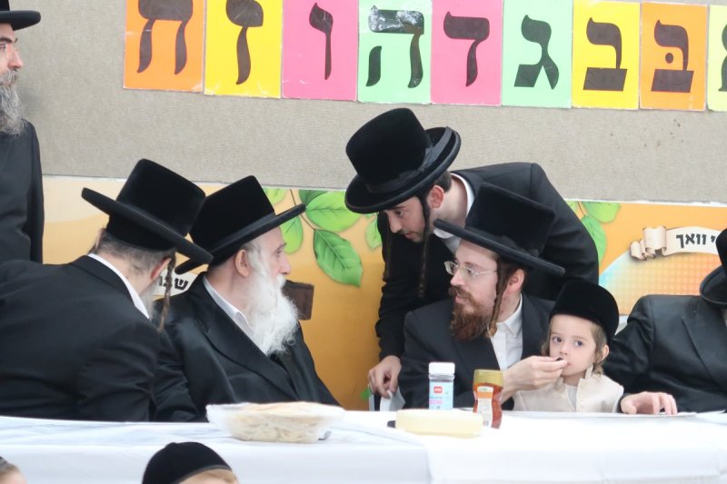 ח.ל