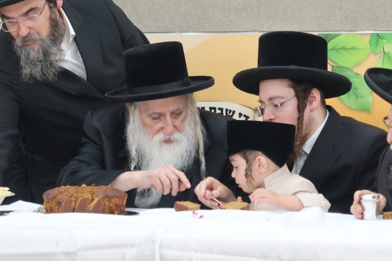 ח.ל