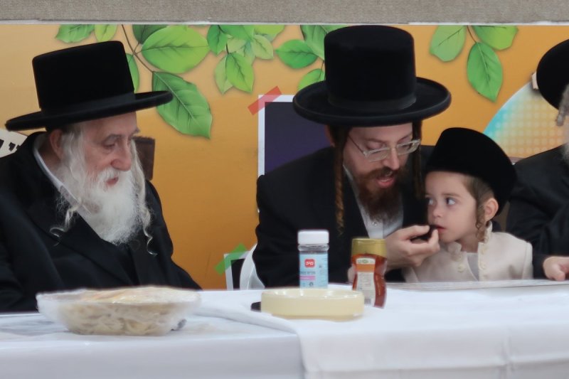 ח.ל