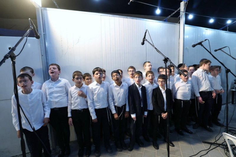 יעקב כהן