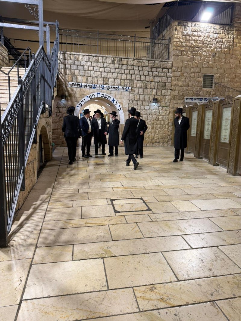באדיבות המצלם