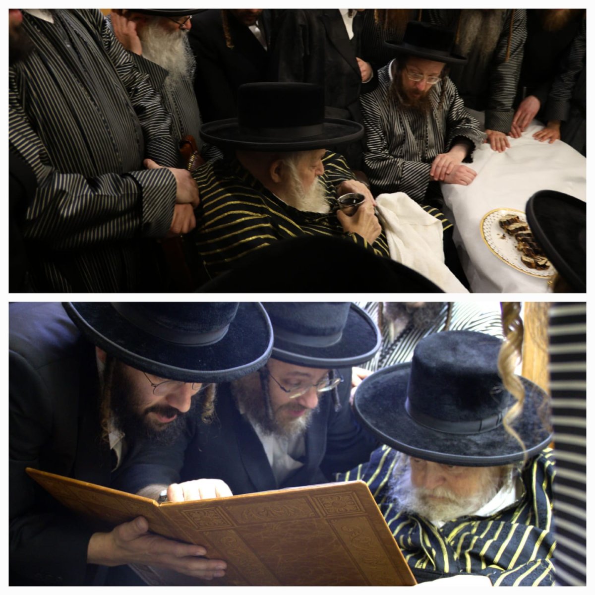באדיבות המצלם