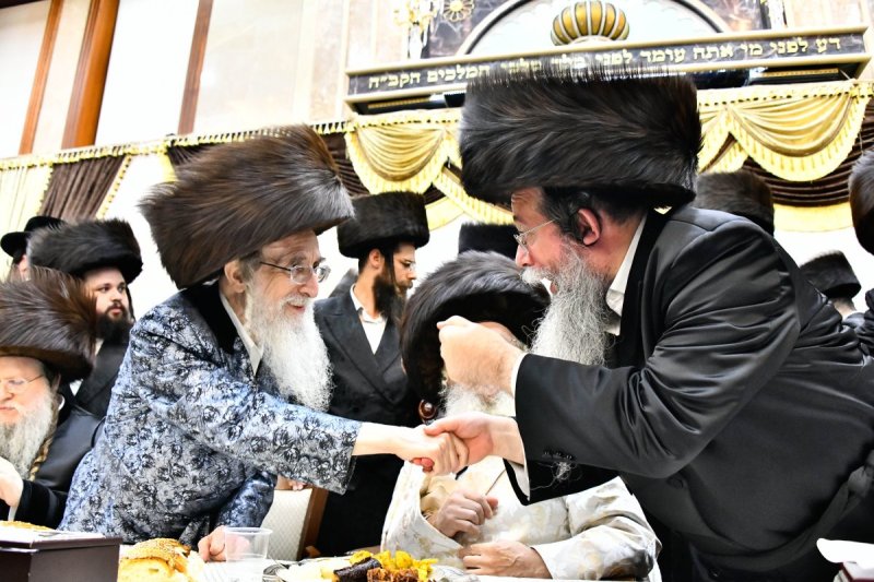 שוקי לרר