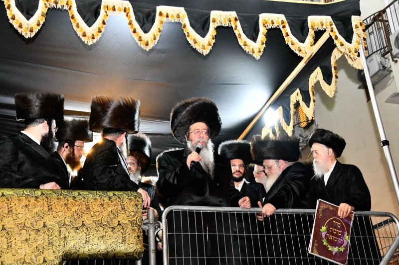 שוקי לרר