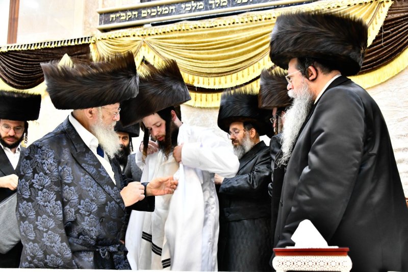 שוקי לרר