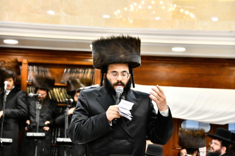 שוקי לרר